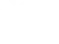 Logo Antigo White ANMP